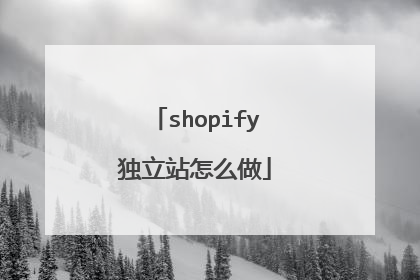 shopify独立站怎么做