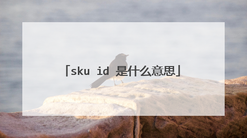 sku id 是什么意思