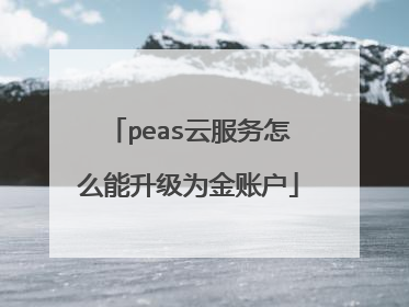 peas云服务怎么能升级为金账户