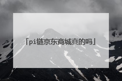 pi链京东商城真的吗