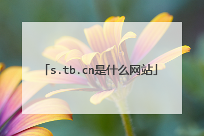 s.tb.cn是什么网站