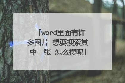 word里面有许多图片 想要搜索其中一张 怎么搜呢