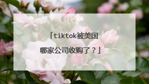 tiktok被美国哪家公司收购了?