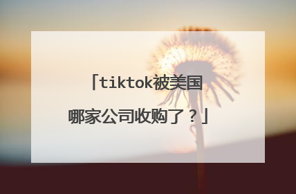 tiktok被美国哪家公司收购了?