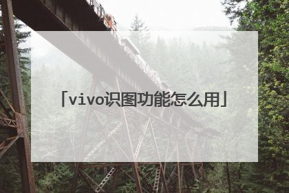 vivo识图功能怎么用