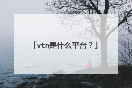 vtn是什么平台?