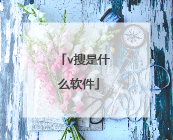 v搜是什么软件