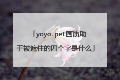 yoyo.pet画质助手被遮住的四个字是什么