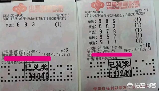 彩票市场动态：关注最新开奖和中奖号码公布六合彩官网 - 实时开奖、精准预测、专业分析