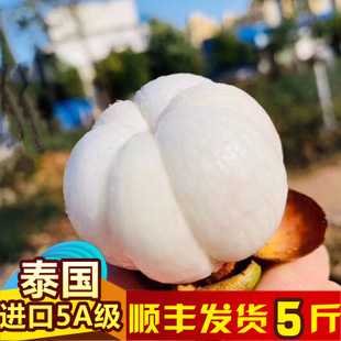 空运顺丰包邮泰国进口山竹麻竹5斤新鲜水果一手货源一件无痕代发