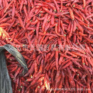 2018年 印度新辣椒上市 S14品种辣椒 干红辣椒 进口货源 无现货
