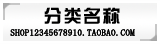 宝贝分类大分类模板演示图片