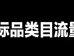 淘宝标品类目流量怎么提升，告诉你方法