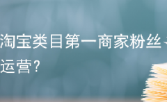 淘宝类目第一商家粉丝运营？