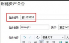 淘宝资产拍卖上拍发布教程？后台操作详解