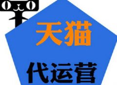 什么是天猫代运营，它与整体托管的区别？