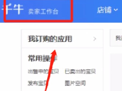 2019淘宝双11大促微淘玩法揭秘