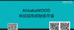 淘宝0425-AlibabaWOOD产品培训