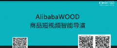 淘宝0228-AlibabaWOOD产品培训