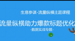 淘宝流量纵横助力爆款标题优化（上）