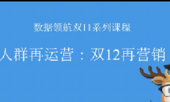 淘宝数据银行-大促后双12人群再营销