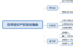 【拼多多知识产权（知产/盗图）】知识产权侵权投诉理由说明