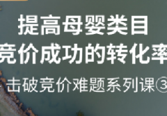 【拼多多竞价课3】提高母婴类目竞价成功的转化率