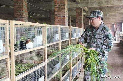农村利润都很高的十个赚钱商机,返乡创业一样也有出息