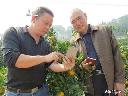 当下适合农村青年创业的9个项目,成功率都很高