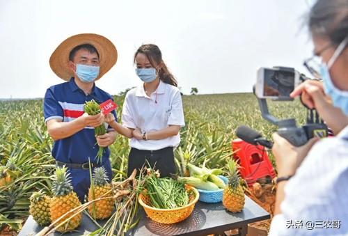 适合农民百姓创业的7个小本项目，做起来，收入呈正增长