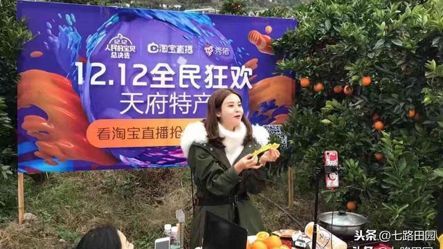 2020年,4项适合农村创业项目,现在开始努力还不晚