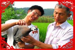 适合农村致富好项目有哪些（4个最赚钱的项目推荐）