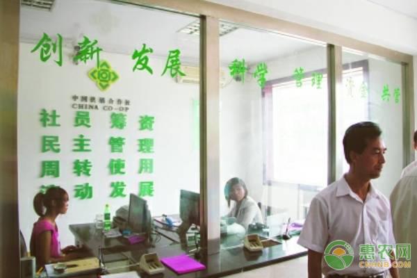 农村创业如何致富？这四大项目上手快，成本小，还有前景