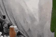摆地摊 什么比较好卖?