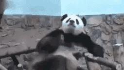 摆地摊 什么比较好卖?