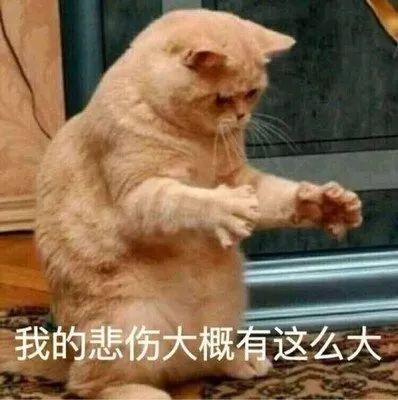 干货 | 一名新媒体运营师该具备哪几种能力?