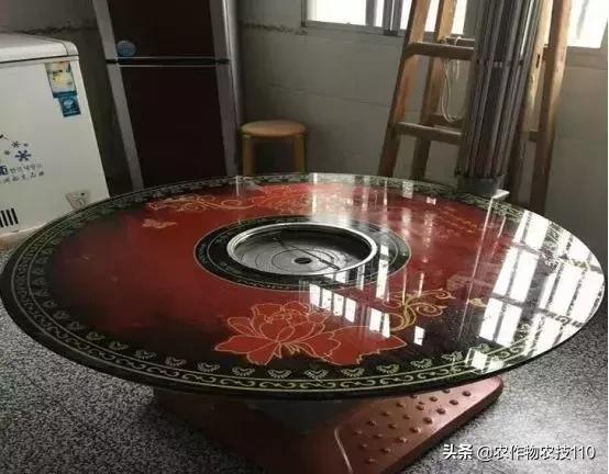 农村这9个创业项目,本钱少,有“钱途”,你钟意哪一个?