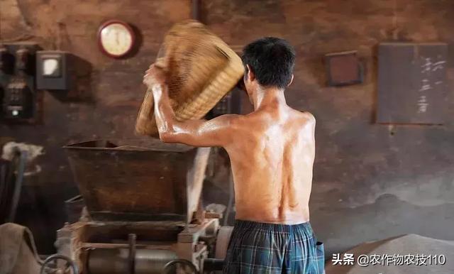 农村这9个创业项目,本钱少,有“钱途”,你钟意哪一个?