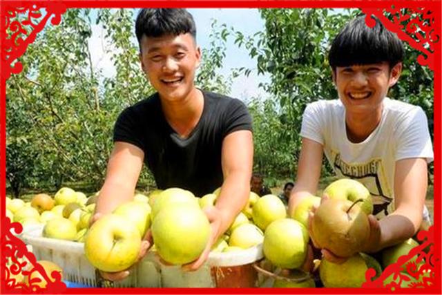 对于今年留守农村的创业者,在农村有什么好的创业项目?推荐几个