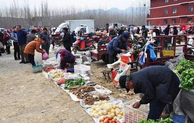 今年不想外出打工？不妨试试这几个生意，现在在农村都很“吃香”