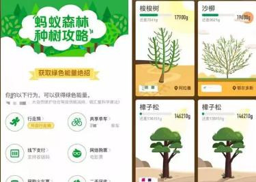 分享5个可以当副业赚钱的小项目!