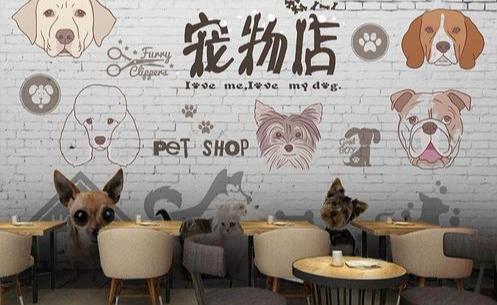 今年好赚钱吗?重点来了,2020年最赚钱的6个行业,你知道几个?