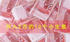 做点什么小生意赚钱（月入2万的10个小生意）