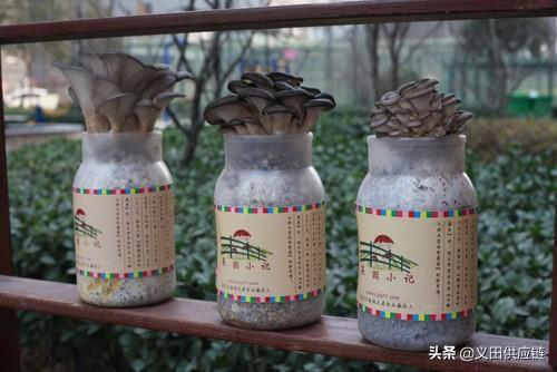 农村24个挣钱的事业,看看这些事业是不是也能带你走上致富之路
