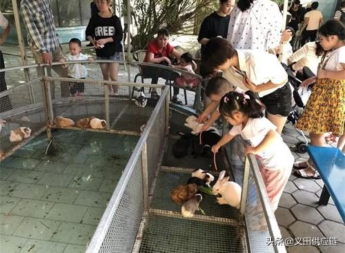 农村24个挣钱的事业,看看这些事业是不是也能带你走上致富之路