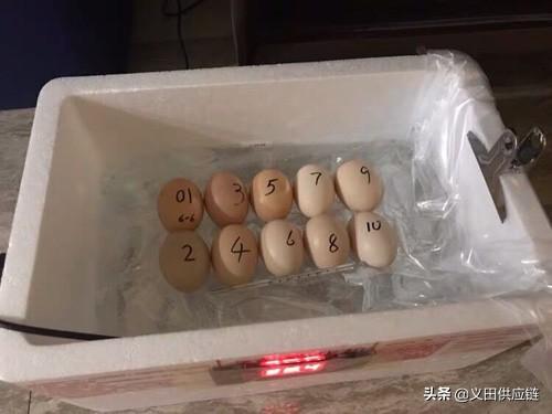 农村24个挣钱的事业,看看这些事业是不是也能带你走上致富之路
