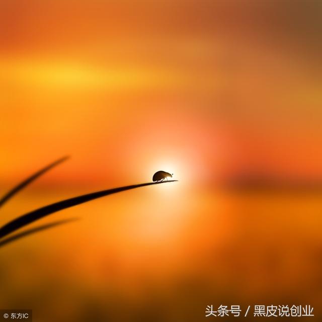 如何运用互联网去赚钱,我给大家总结了几点!