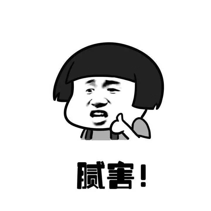 天猫双11狂欢夜主持阵容曝光 杨迪刘维喜提