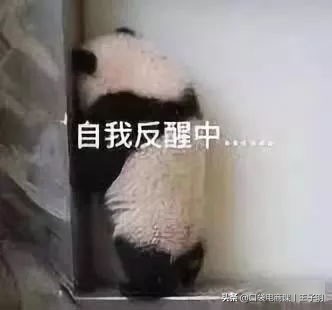 淘宝最新大事件:店铺违规扣分即将清零!申诉不及时或遭处罚
