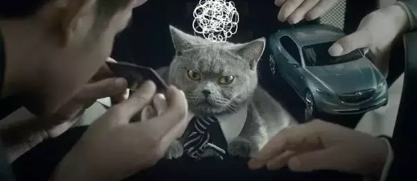 天猫汽车生活节,让所有人都能轻松做个有车族